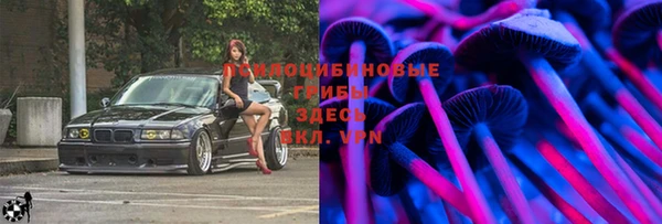 прущая мука Кулебаки