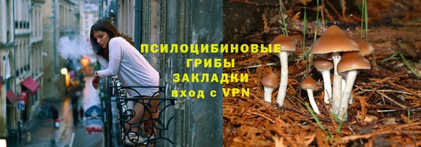 гашик Кукмор