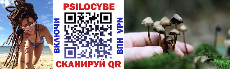 Псилоцибиновые грибы Magic Shrooms  Сусуман 